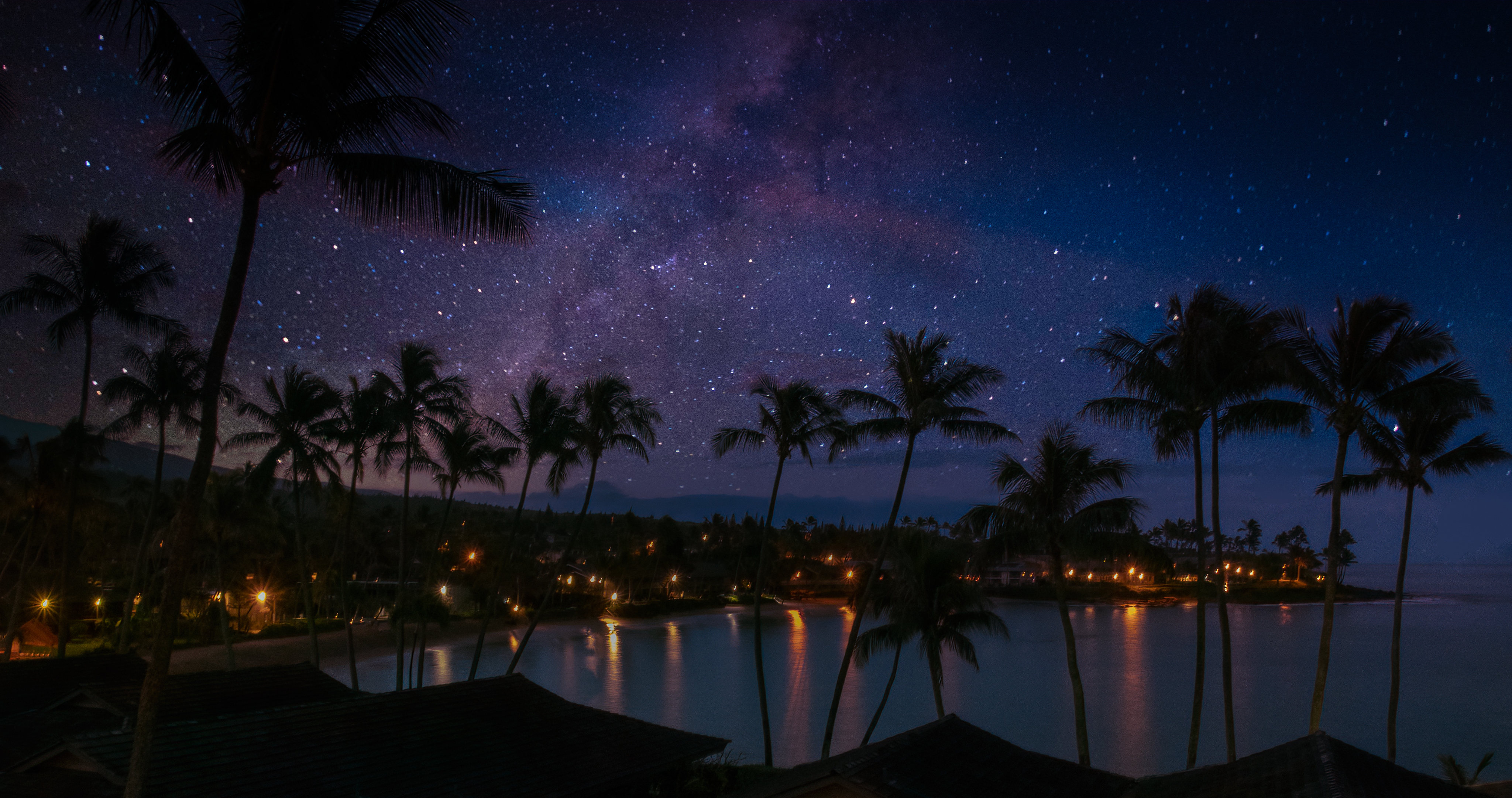 пальмы побережье ночь