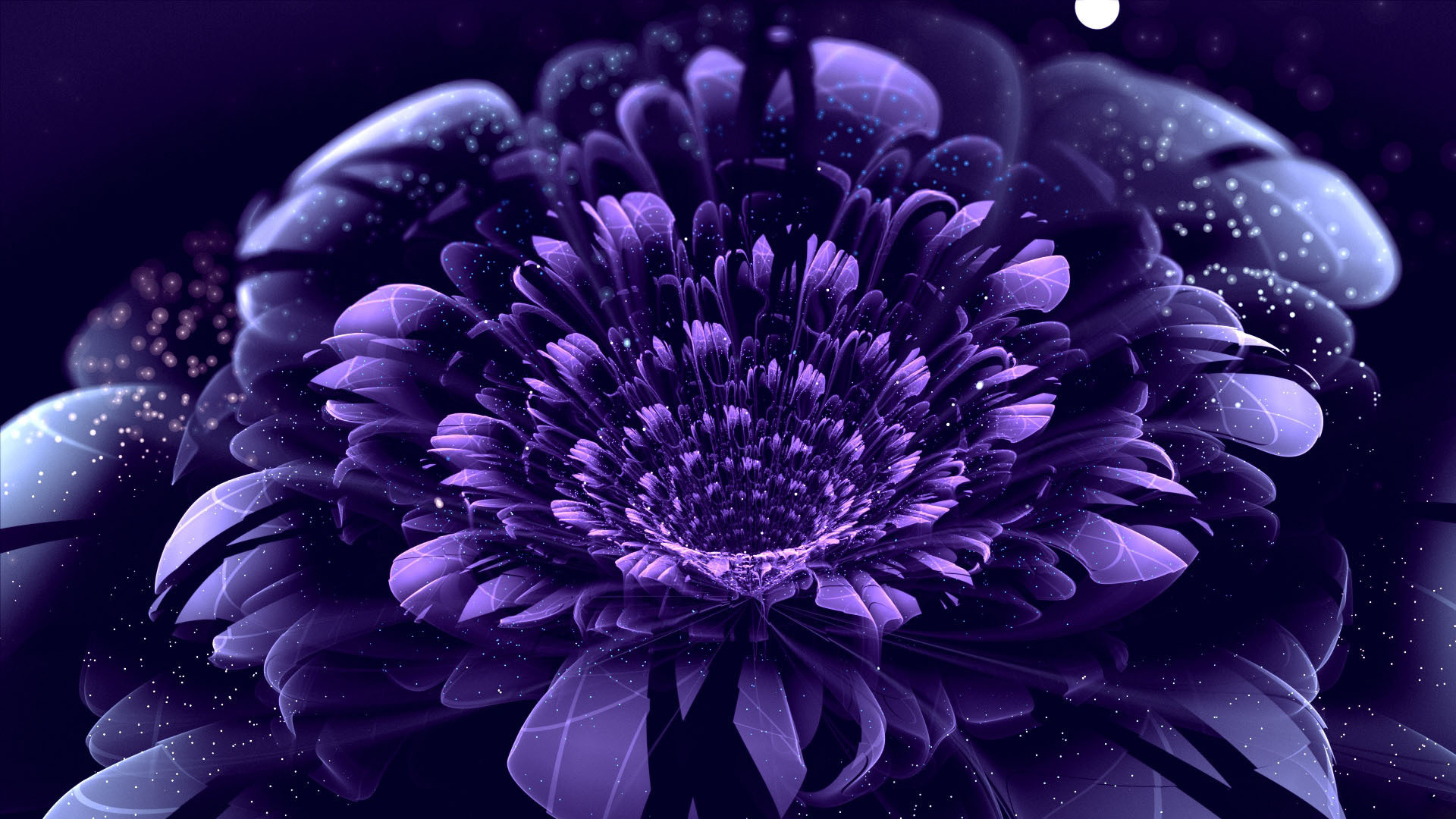круги фиолетовый точки цветок лепестки