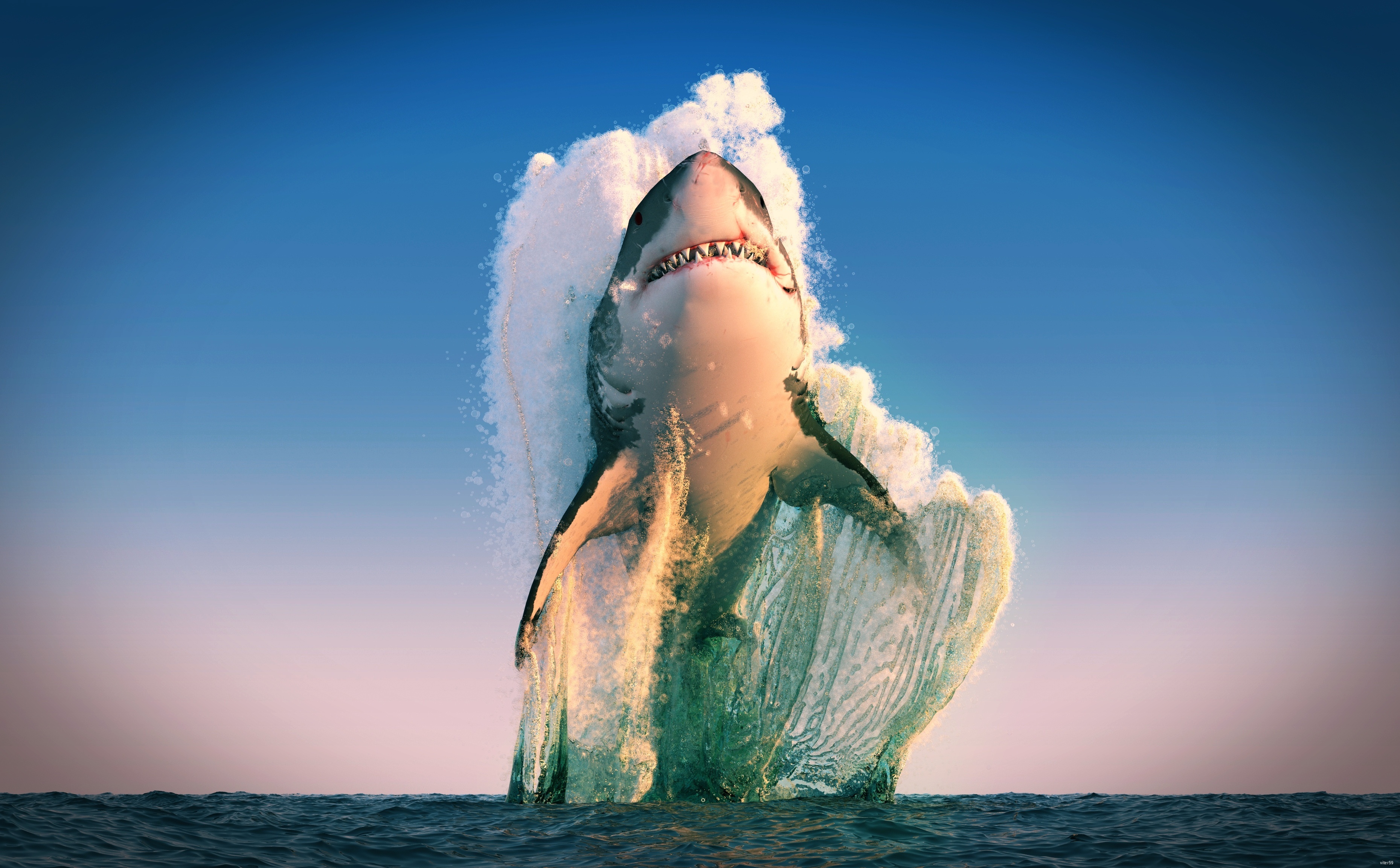 море ломо фотошоп хищник акула