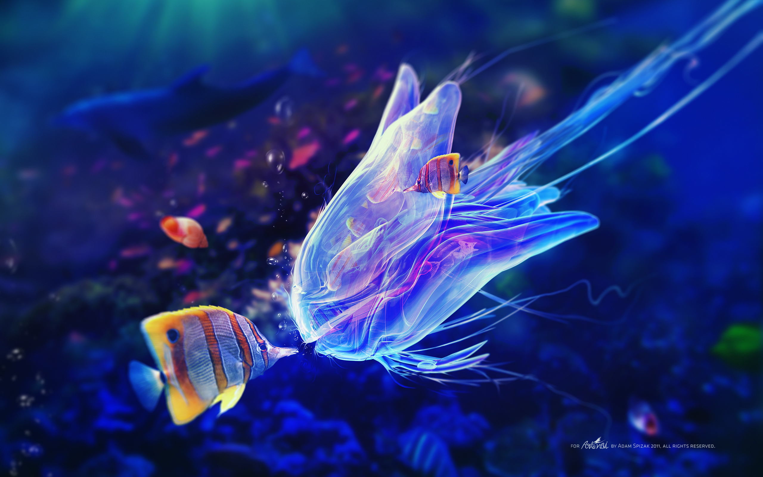 под водой рыбы медуза синева