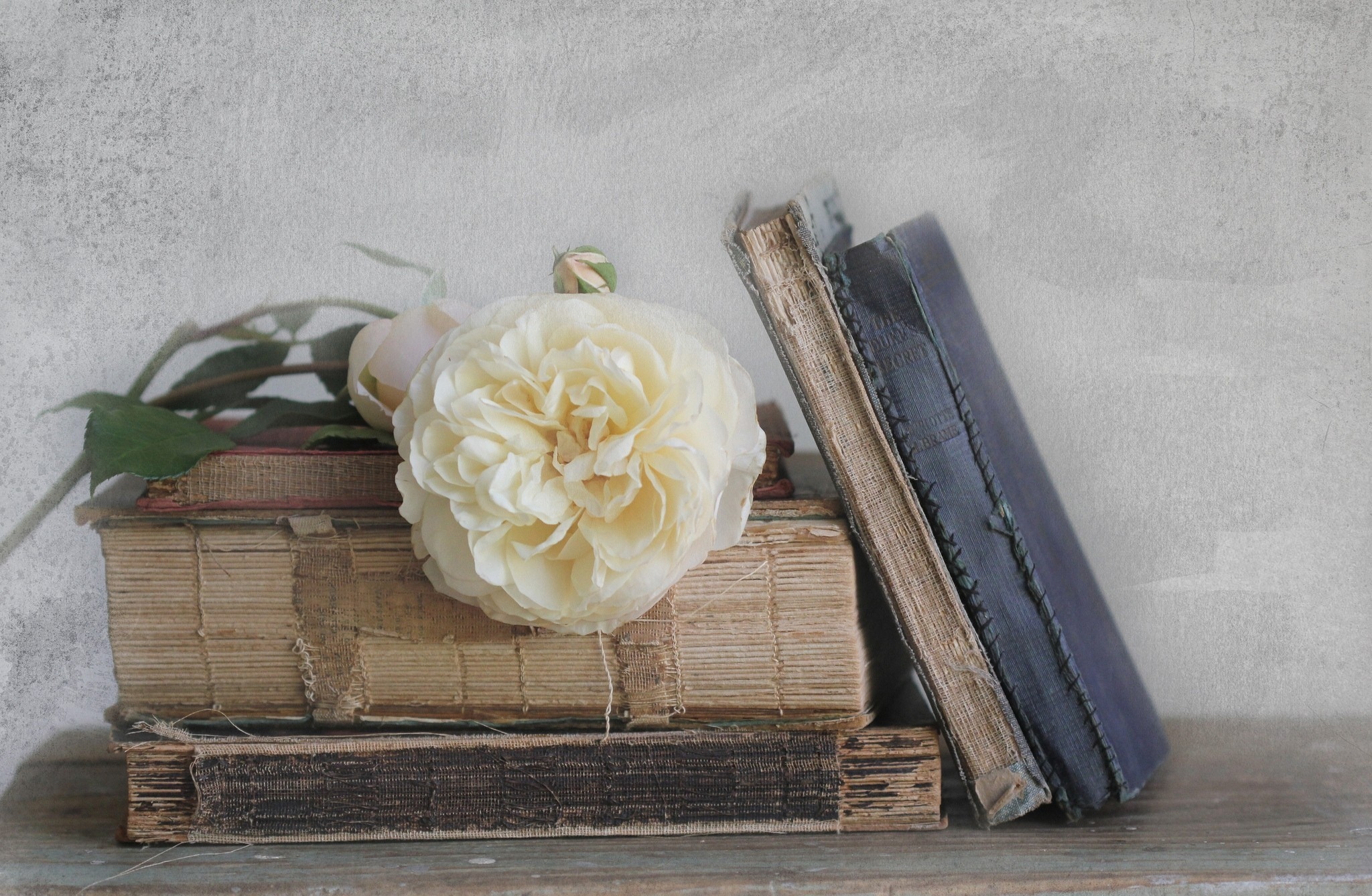 книги белая роза старые